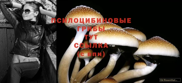 прущая мука Куйбышев