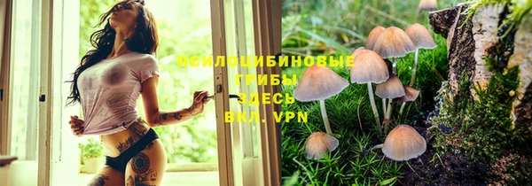 первитин Кукмор