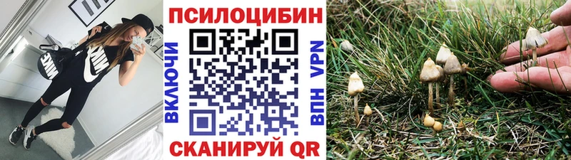 Купить где  Алушта  Галлюциногенные грибы Psilocybine cubensis 